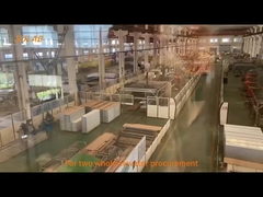 De in bijlage I vermelde voorwaarden gelden ook voor de in bijlage I bedoelde voertuigen.