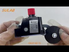 CR137-BZ-T2 Heavy-duty eindschakelaar met IP67-classificatie, 2×SPDT klikcontacten en stalen rol L